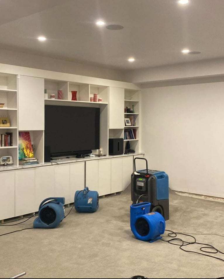 Living room carpet drying with air movers and a dehumidifier