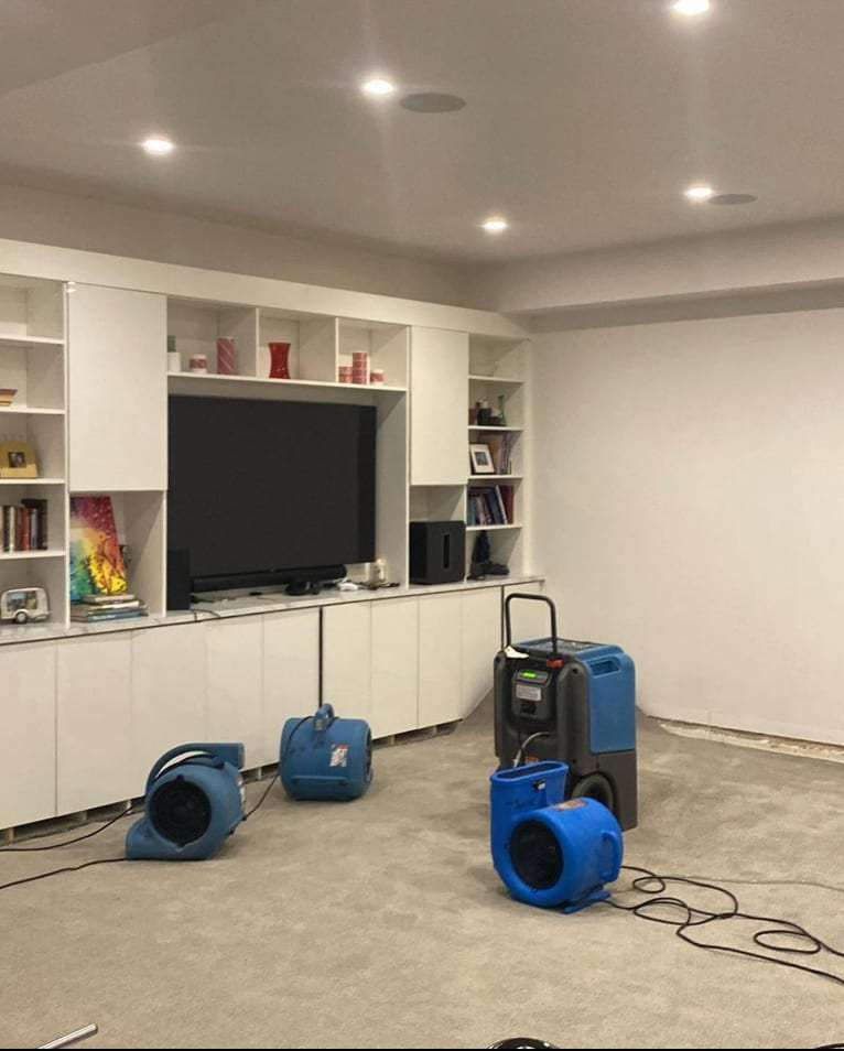 Living room carpet drying with air movers and a dehumidifier