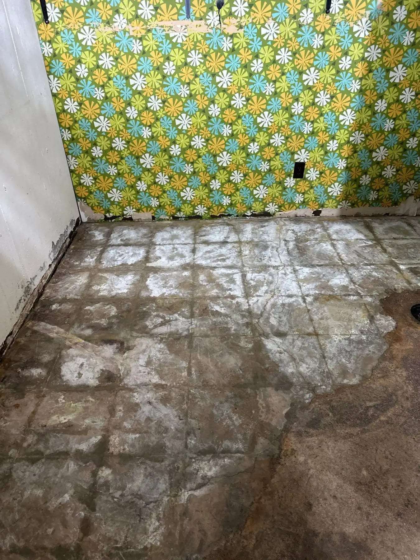 Wet concrete floor with the tile removed in a room with floral wallpaper